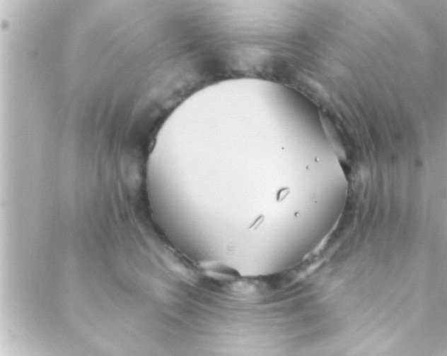 X0000088640566200706151945