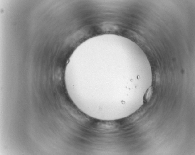 X0000088640567200706151945