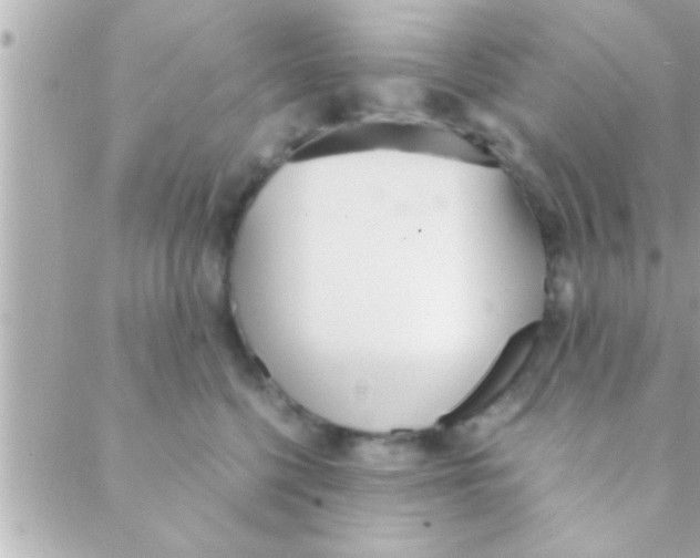 X0000088640568200706151945