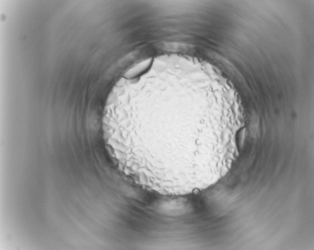 X0000088640569200706151945