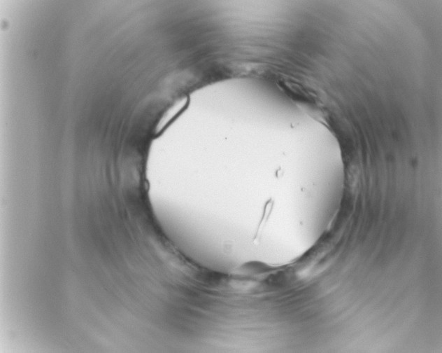 X0000088640570200706151945