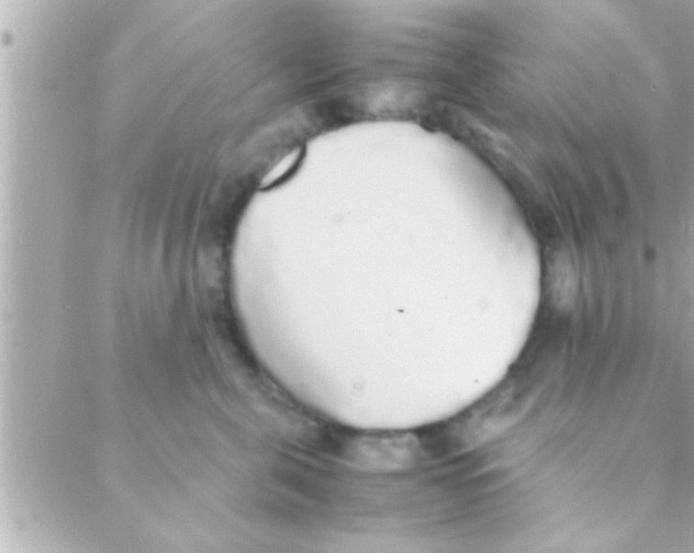 X0000088640571200706151945