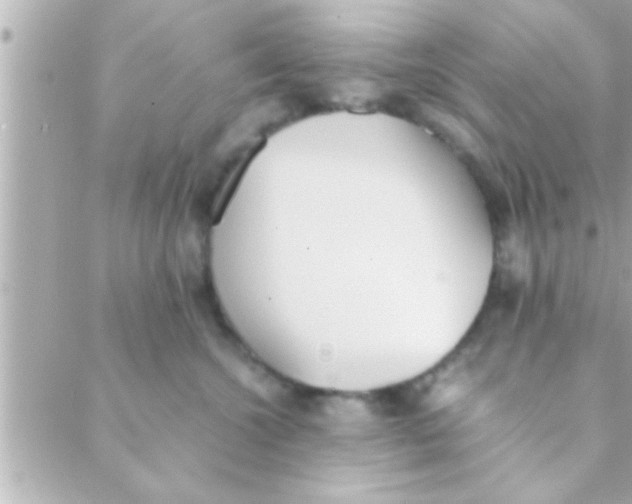 X0000088640572200706151945