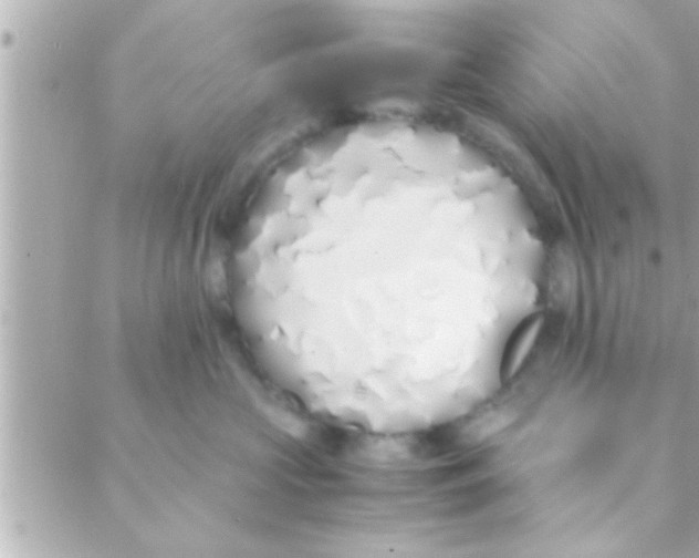 X0000088640573200706151945