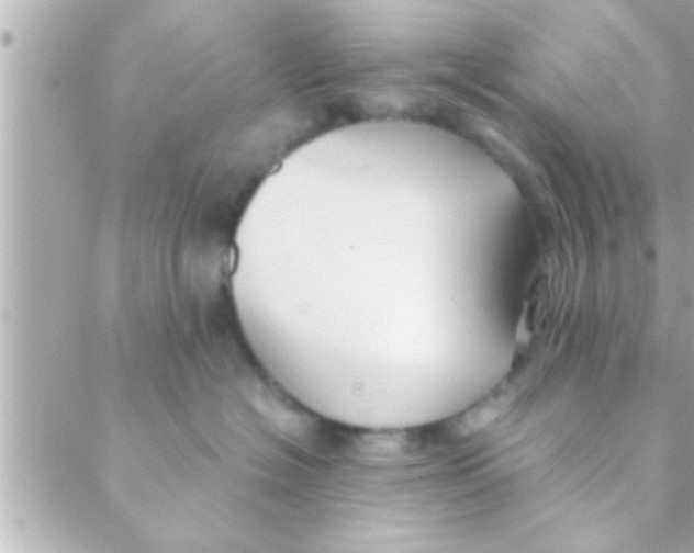 X0000088640574200706151945