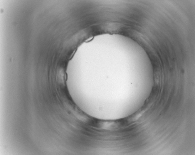 X0000088640575200706151945