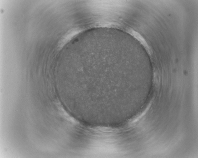 X0000088640577200706151945