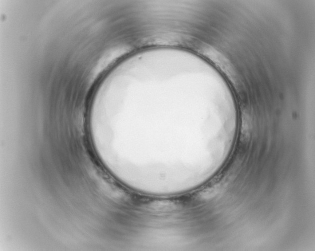 X0000088640578200706151944