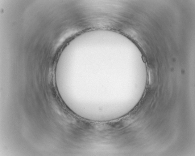 X0000088640579200706151944