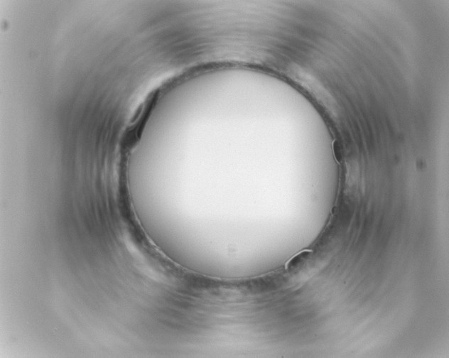 X0000088640580200706151944