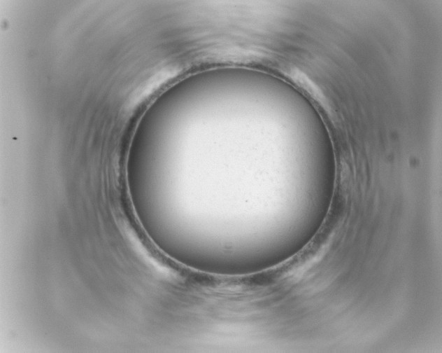 X0000088640581200706151944