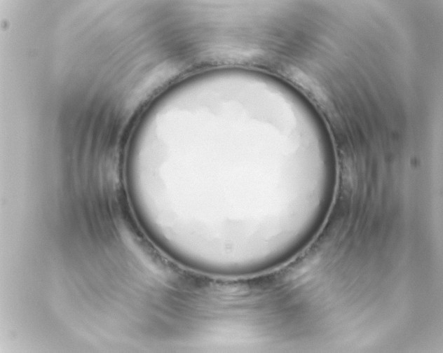 X0000088640582200706151944