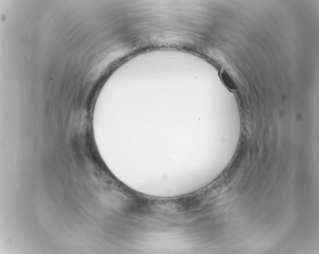 X0000088640583200706151944