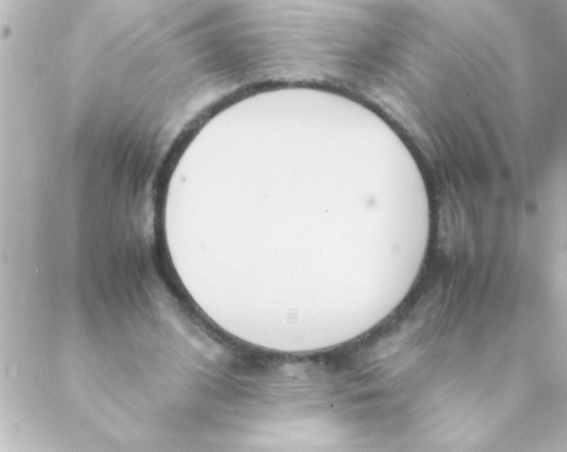 X0000088640584200706151944