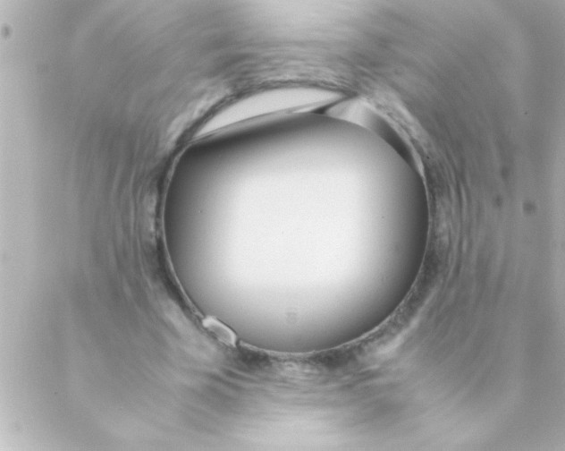 X0000088640585200706151944