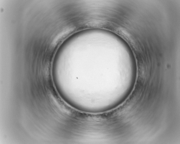 X0000088640586200706151944