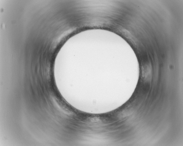 X0000088640588200706151944