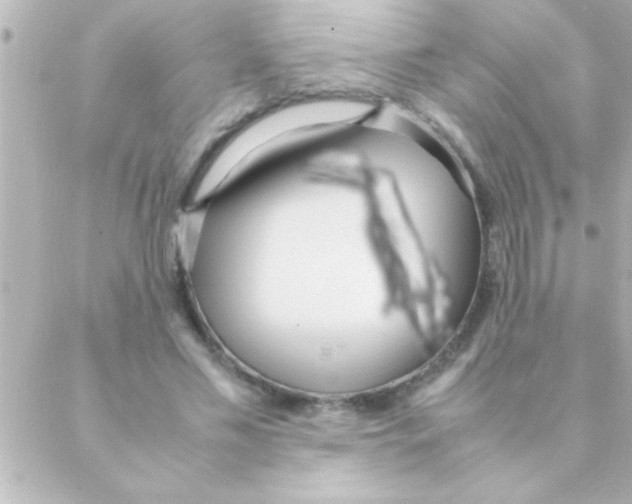 X0000088640589200706151944