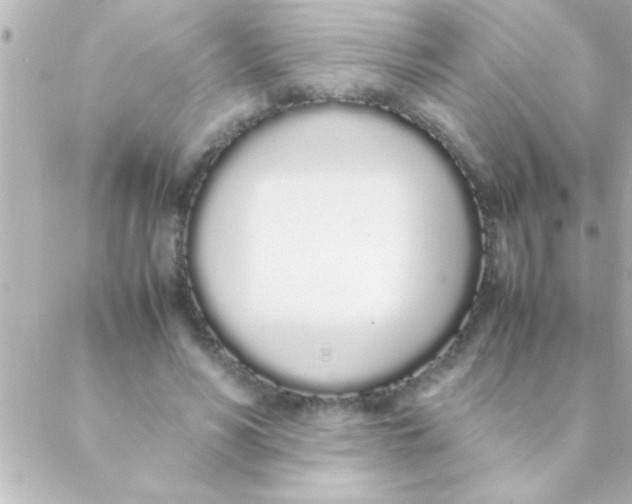 X0000088640590200706151944