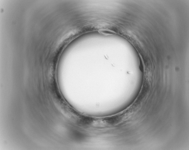 X0000088640591200706151944