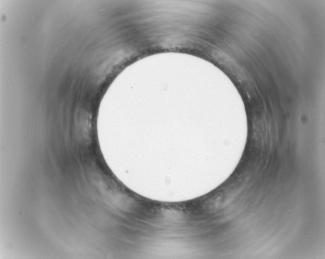 X0000088640592200706151944