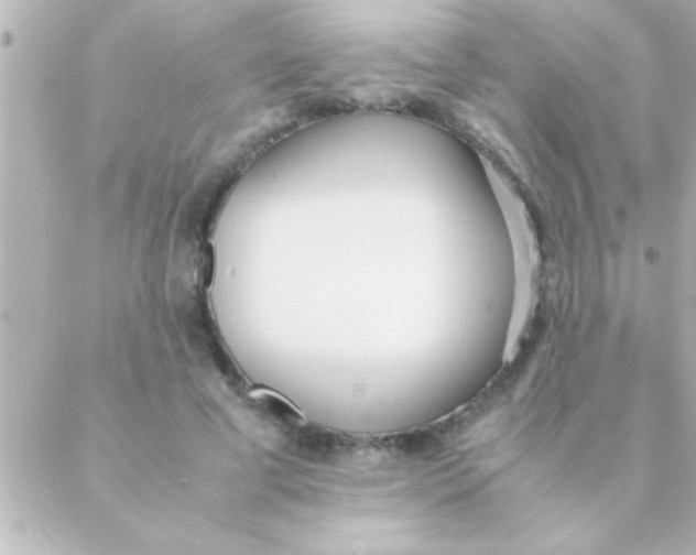 X0000088640593200706151944