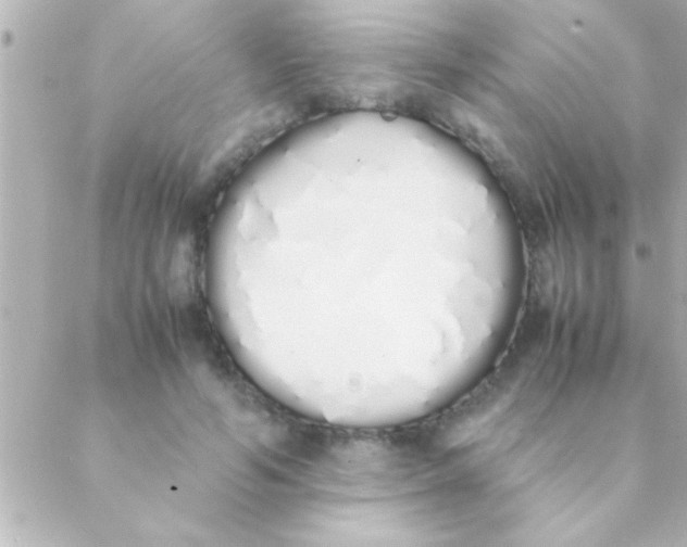 X0000088640594200706151944