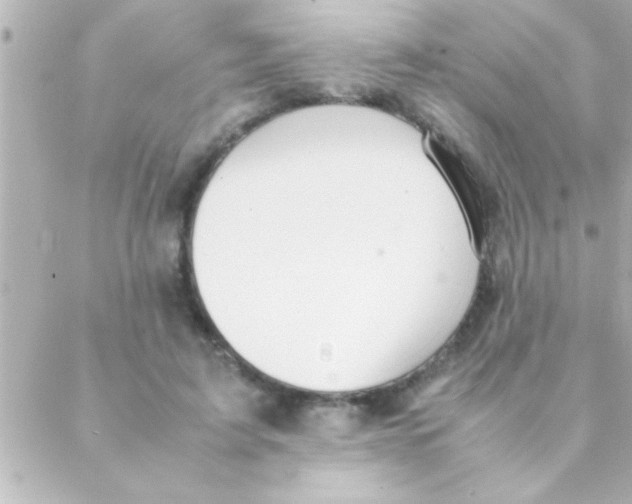 X0000088640595200706151944