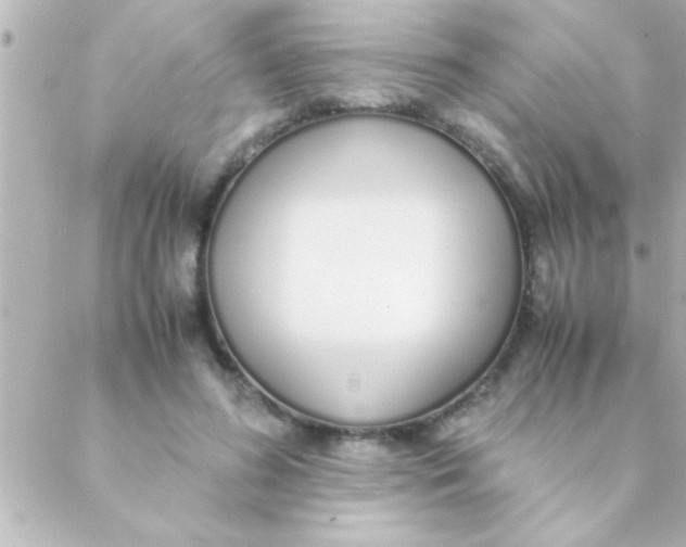 X0000088640596200706151944