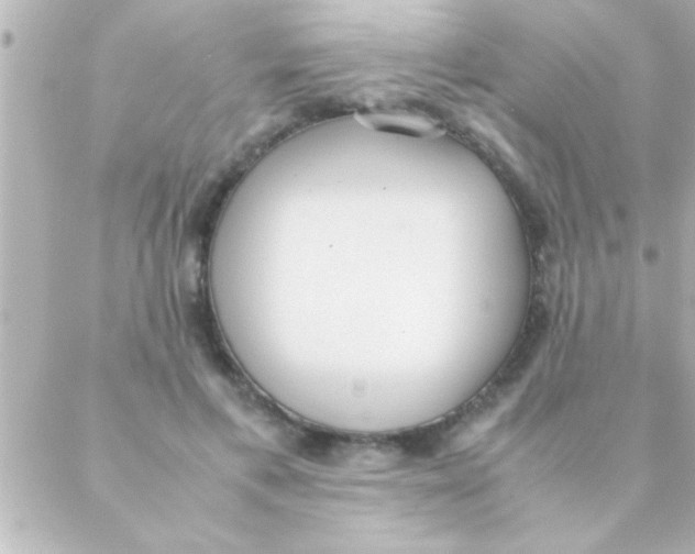 X0000088640597200706151944