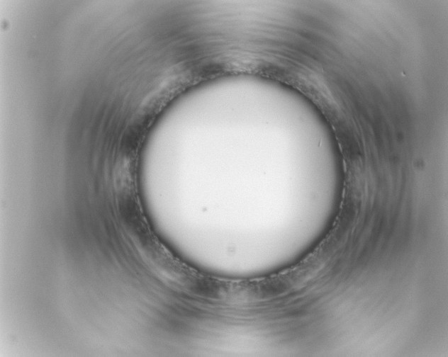 X0000088640598200706151944