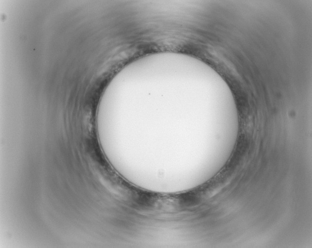 X0000088640599200706151944