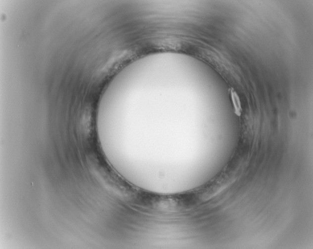 X0000088640600200706151944