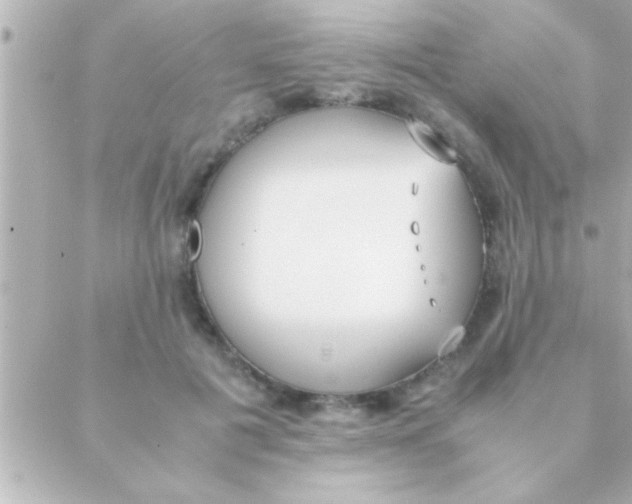 X0000088640601200706151944