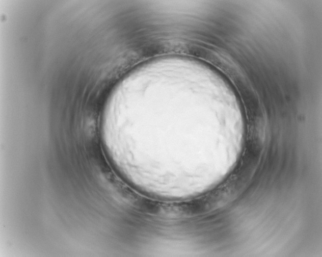 X0000088640602200706151944