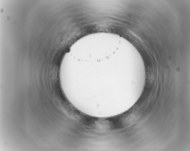 X0000088640603200706151944