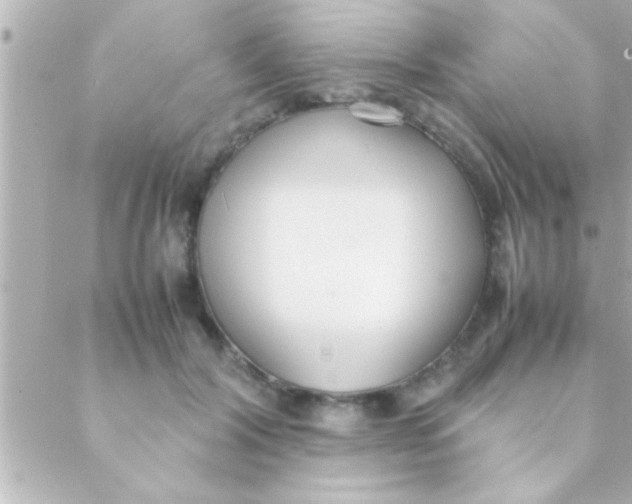 X0000088640604200706151944