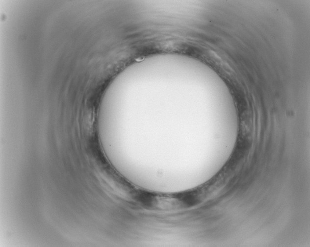 X0000088640605200706151944