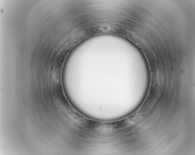 X0000088640606200706151944