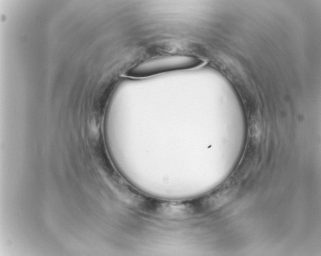 X0000088640607200706151944