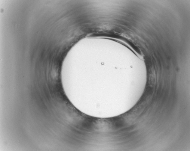 X0000088640608200706151944