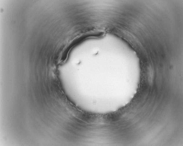 X0000088640610200706151944