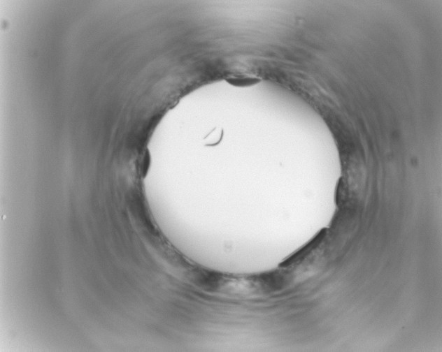 X0000088640611200706151944