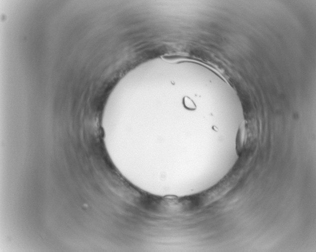 X0000088640613200706151944