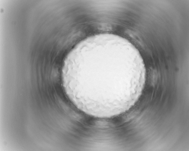 X0000088640614200706151944