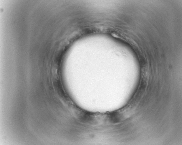 X0000088640615200706151944