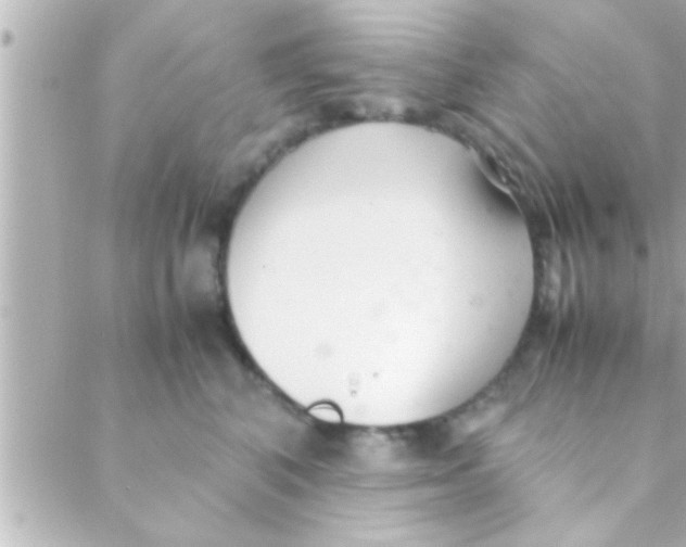 X0000088640616200706151944