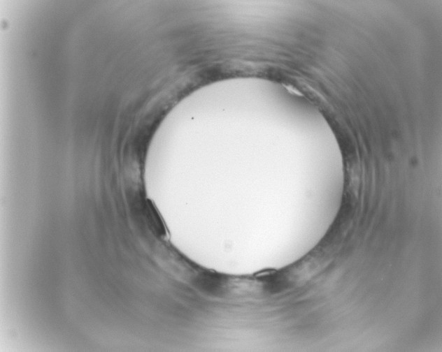 X0000088640617200706151944