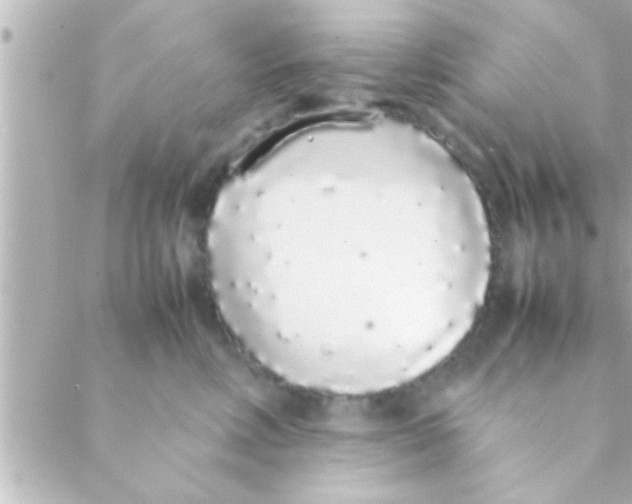 X0000088640618200706151944