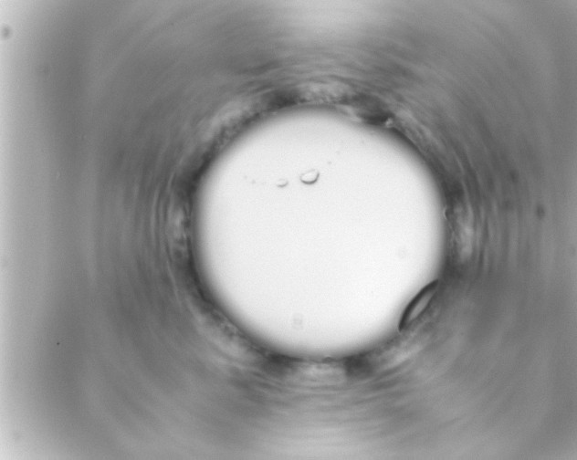 X0000088640619200706151944